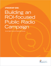 Building an ROI-focused Public Radio Campaign eBook